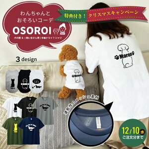 sNX}XLy[tyOSOROIzƎ yAbN 2_Zbg ^NgbvhCTVc  80VGbg hbOEFA v[g Mtg Z[ Tt m