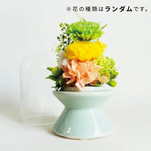 ybgʔv ybgA  AN NA W3×H8×D3cm W5×H10×D5cm 茳{ ybgd ybg IWi I[_[Ch ʐ^   CeA O N Y 炫