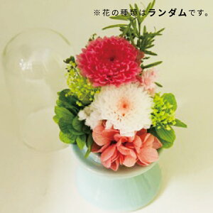 ybgʔv ybgA  AN NA W3×H8×D3cm W5×H10×D5cm 茳{ ybgd ybg IWi I[_[Ch ʐ^   CeA O N Y 炫