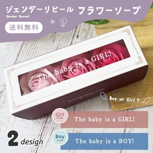  WF_[r[ \[vt[ ʔ\ }[W Iׂ2 fUC  TvCY ʃTvCY xr[V[ }^jeB[ WF_[r[P[L WF_