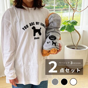 ƃyAbN 2_Zbg x[VbN  TVc t[fB[ ^ ^ ~bNXΉ n[t ybg OTVc Mtg v[g