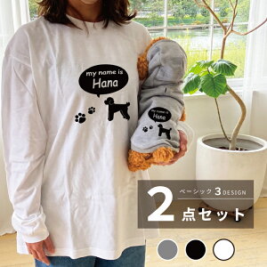 y5{|CgzƃyAbN Ƃ 2_Zbg x[VbN  TVc t[fB[ ^ ^ 80Ή ~bNX OTVc Mtg v[g