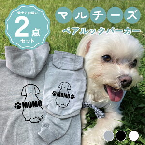 }`[Y ƃyAbN 2_Zbg  ̕ t[fB[ × Wbvp[J[  N  ybg { O[ ubN zCg hbOEFA I[_[Ch yAbN 