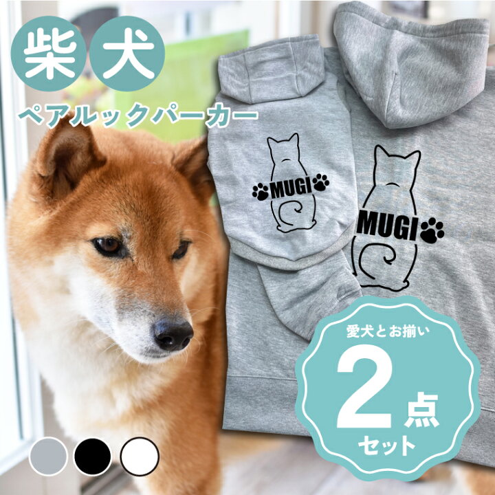 shiba 