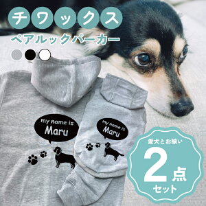 y5{|Cgzmn`bNX 񂿂Ƃ낢R[fuOSOROIv t[fB[Wbvp[J[ Gu J[V ML  N ƃyAbN 2_Zbg ̕ hb