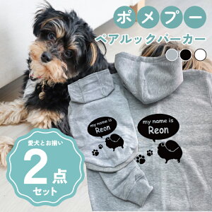 y5{|Cgzmn|v[ 񂿂Ƃ낢R[fuOSOROIv t[fB[Wbvp[J[ Gu J[V ML  N ƃyAbN 2_Zbg ̕ hbO