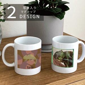 ʐ^ JI ʕ }OJbv GKg ybg  l[ I[_[Ch v[g Mtg Rbv LO a ybgObY G