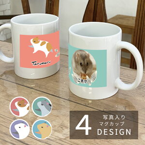 ʐ^ nX^[ }OJbv ybg  l[ I[_[Ch v[g Mtg Rbv LO a ybgObY G 킢