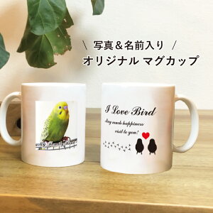 ʐ^  }OJbv ybg  l[ I[_[Ch v[g Mtg Rbv LO a ObY G CR 