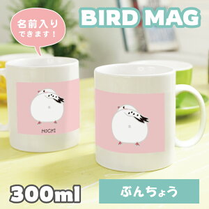  }OJbv 300ml \ 퐻 H Lb` R[q[Jbv a v[g MtgObY 킢  Aj}  DMtg ObY ObY Mug ybg u