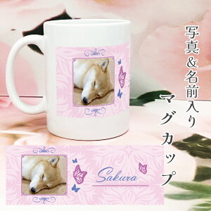 ʐ^  }OJbv GKg ybg  l[ I[_[Ch v[g Mtg Rbv LO a ObY G