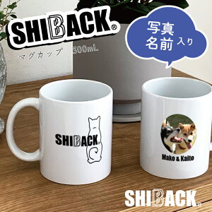 IWi SHIBACK Č Iׂ2 fUC }OJbv 300ml ʐ^ O 퐻 ̎q l[ ʐ^Mtg H Lb` R[q[Jbv a v[g MtgObY 