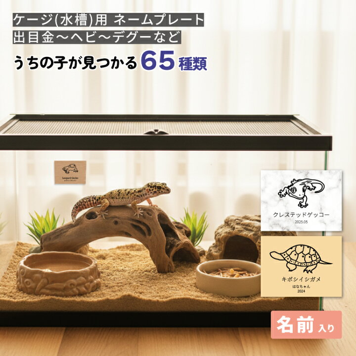 楽天市場】ペット ネームプレート 名札 レプタイルボックス 
