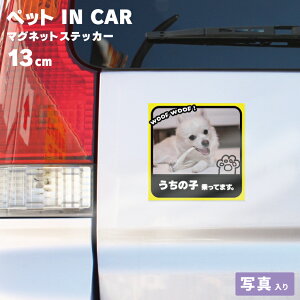 �ʐ^���� PET IN CAR �}�O�l�b�g �� �L �� �X�e�b�J�[ �h�b�O�C���J�[ �L���b�g�C���J�[ �J�[�}�O�l�b�g �����̎q �h�� �y�b�g�C���J�[ �I���W�i�� �M�t�g �h�� �����̎q ����Ă܂�