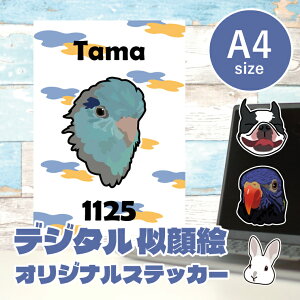 GCXgXebJ[ A4 fUCi[ʐ^玗GCXg쐬܂ ̎qXebJ[ V[ ybgL  CR ETM nX^[ v[g  XebJ[ Mtg 