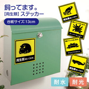 Ă܂XebJ[ ރXebJ[ XebJ[ V[ 13cm×13cm ރObY ލD ޒa v[g MtgObY 킢  Aj} PC Q[@ ^ubg 