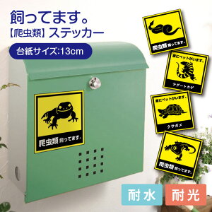 飼ってますステッカー 爬虫類ステッカー ステッカー シール 13cm×13cm爬虫類好き 爬虫類誕生日 プレゼント ギフトグッズ かわいい おしゃれ アニマル PC ゲーム機 タブレット 車 車ステッカー