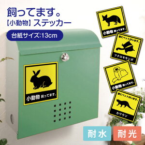 Ă܂XebJ[ XebJ[ XebJ[ V[ 13cm×13cm ObY D  a v[g MtgObY 킢  Aj} PC Q[@ ^ubg 