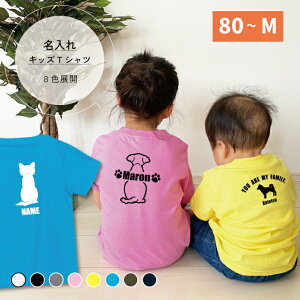 xr[TVc LbY  x[VbN 80VGbgΉ ~bNX O MIX D j̎q ̎q qǂ xr[ TVc qǂ q 킢 a  x
