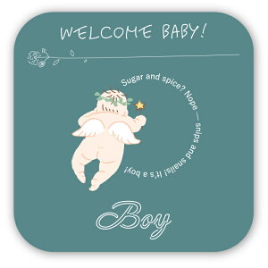 2Zbg [ WF_[r[ R[X^[ 9cm ʔ\ Iׂ6 fUC  TvCY ʃTvCY xr[V[ }^jeB[ WF_[r[P[L WF_[