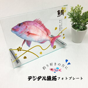  ʐ^ މʋLO tHgt[ KXAN H15×W20cm O t AN  CeA ނ Cނ ނ ނ v[g Mtg I[_[Ch 蕨