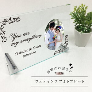 ʐ^ EFfBO tHgt[ KXAN H15×W20cm EGfBO  j O t AN  CeA uC_@ 킢 v[g M