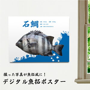 ʐ^ fW^|X^[ މʋLO  fW^ |X^[ ނ Cނ ނ މʋL^ ނ ނL^ O tHg|X^[ v[g Mtg I[_[Ch