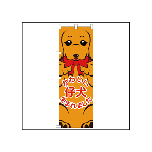 yAEgbgizybgVbv̑i ybgVbvp̂ڂ 킢e܂܂ _bNX CXg  pet shop ybgT ̂ڂ𗧂ĂďWqAbv Mtg v[g y