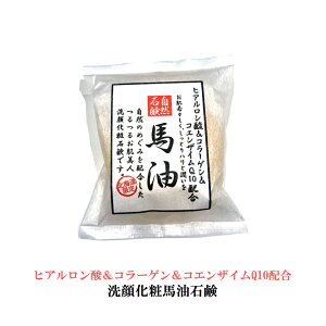 [kC] n lΌ Soap 100g qA_ R[Q RQ10m1254n