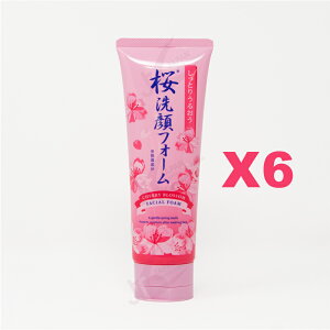 6Zbg SAKURA tH[ 150g D401845 (0748)