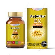 デイフィット DAYFIT ナットウキンEX 12000FU +Plus GABA (3ヶ月分) 野口医学研究所 - 62575