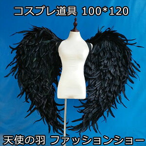 Vg̉H RXv  H  wing ECO 100*120 ubN Vg̗ d t@bVV[ p[eB[ObY Be RX`[ la154h2h2h2/s