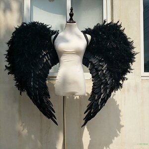 Vg H RXv  wing ECO zCg ubN sN 100*120cm Vg݂ Vg d  t@bVV[ p[eB[ObY Be Xe[W Cxg  RX`[