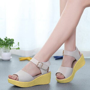 T_ fB[X  EFbW\[ RtH[gT_ 傫TCY26.0 q[T_ nCq[ TCY21.5 q[6.5 Sn悢  EFbW r 