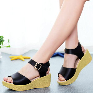 T_ fB[X  EFbW\[ RtH[gT_ 傫TCY26.0 q[T_ nCq[ TCY21.5 q[6.5 Sn悢  EFbW r 