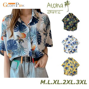 fB[X  AnVc ԕ uEX  vg Vc  傫TCY  t@bV nCVc r[`EFA g gbvX ][g s  eg314c0c0m4