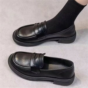 [t@[ fB[X tbgV[Y vC ₷ ₷  ʋ ʊw  w Ǝ V[Y nt001c6c6m4