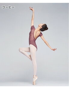 oG I^[h l fB[X WjA  [X K pbht Vv  킢  Lk Xgb` ʋC pbht oGpi bX oGpi 