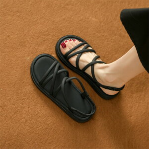 T_ fB[X  ₷ X|[cT_ fB[X bNX _炩 Xbp  r[`T_ r V[Y Xgbv ėp t  Ȃ XgbvT