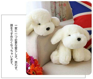   ̓ ޏ Mtg 蕨 ̎q X ʂ  j LO  ߋ LbY lC v[g xr[Mtg NX}Xv[g NX}X A