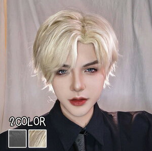 ウィッグ フルウィッグ ショートウィッグ ショートヘア 短髪 かつら 演劇 自然 前髪あり コスプレ 男装 おしゃれ かっこいい 可愛い ショート 耐熱ウィッグ 小顔効果抜群 コスチューム 文化