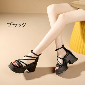 T_ fB[X 3J[ q[ q[ xg 傫TCY q[7cm X|[cT_ V[Y TCY 傫TCY Wbp[  V[Y t l ̓ v[