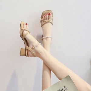 T_ NXXgbvT_ fB[X `L[q[ q[ 芴 ₷ Ƃ  ^xg C  l r V[Y Vv q[T_ TC