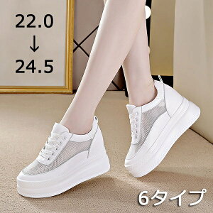 Xj[J[ fB[X    Cq[  C R ~bhJbgXj[J[ bV   q[9cm V[Y ҂ݏグ r zCg ubN 22.0 TCY di200n1n1