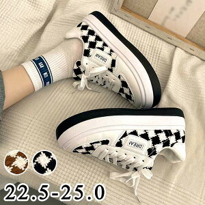 Xj[J[  fB[X jOV[Y EH[LOV[Y WjA AEghA  ؍ ʊw ʋC C w g[jO 20 30 40 50  di217n1n1t2