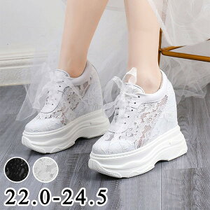 Xj[J[  fB[X Cq[ jOV[Y EH[LOV[Y WjA AEghA  ؍ ʊw ʋC C w g[jO 20 30 40 50  di224n1n1t2