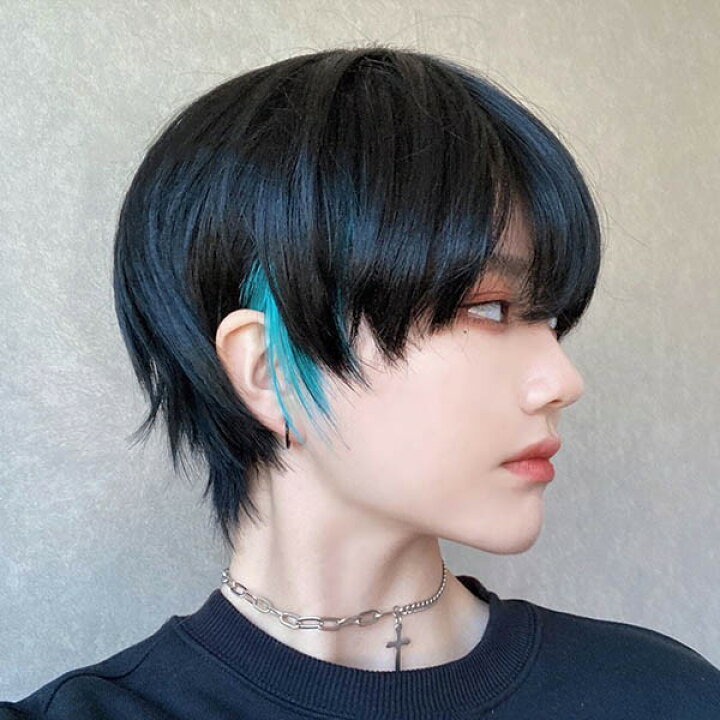 楽天市場 ウィッグ メンズ インナーカラー 短髪 かつら 自然 フルウィッグ ショートウィッグ ショートヘア 前髪あり コスプレ 男装 おしゃれ ナチュラル かっこいい 可愛い ショート 耐熱ウィッグ ブラック 黒髪 小顔効果抜群 コスチューム 文化祭 学園祭 イベント 韓国