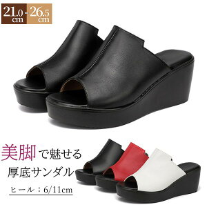 ~[ T_ fB[X  ₷ Jo[hT_ EGbW I[vgD EFbW\[ ItBXT_ r y y T_   U 