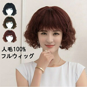 tEBbO fB[XEBbO l ꂳ ig  p Jc A EBbO N V[gEBbO  uE ubN Cbh 30 40 50 dm0