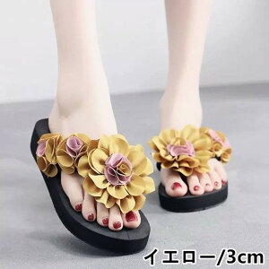 tĐVi t[ r[T T_  r[`T_ T_ƃX[v t[t 傫TCY S4F q[3cm q[6cmr ocO tbvtbv C v[ 